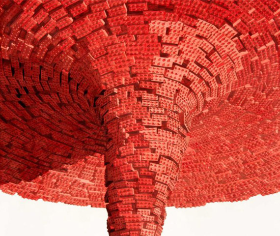 Licenciado GalleryLos carp copy