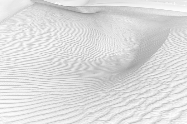 Featured Exhibitions 9 HRH Prince IMG 6262