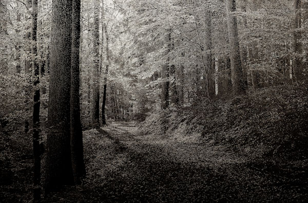 Featured Exhibitions 7 Hwang Seontae2 copy